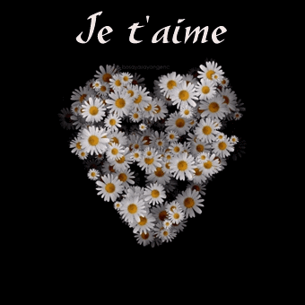 Gif animé je t'aime marguerites
